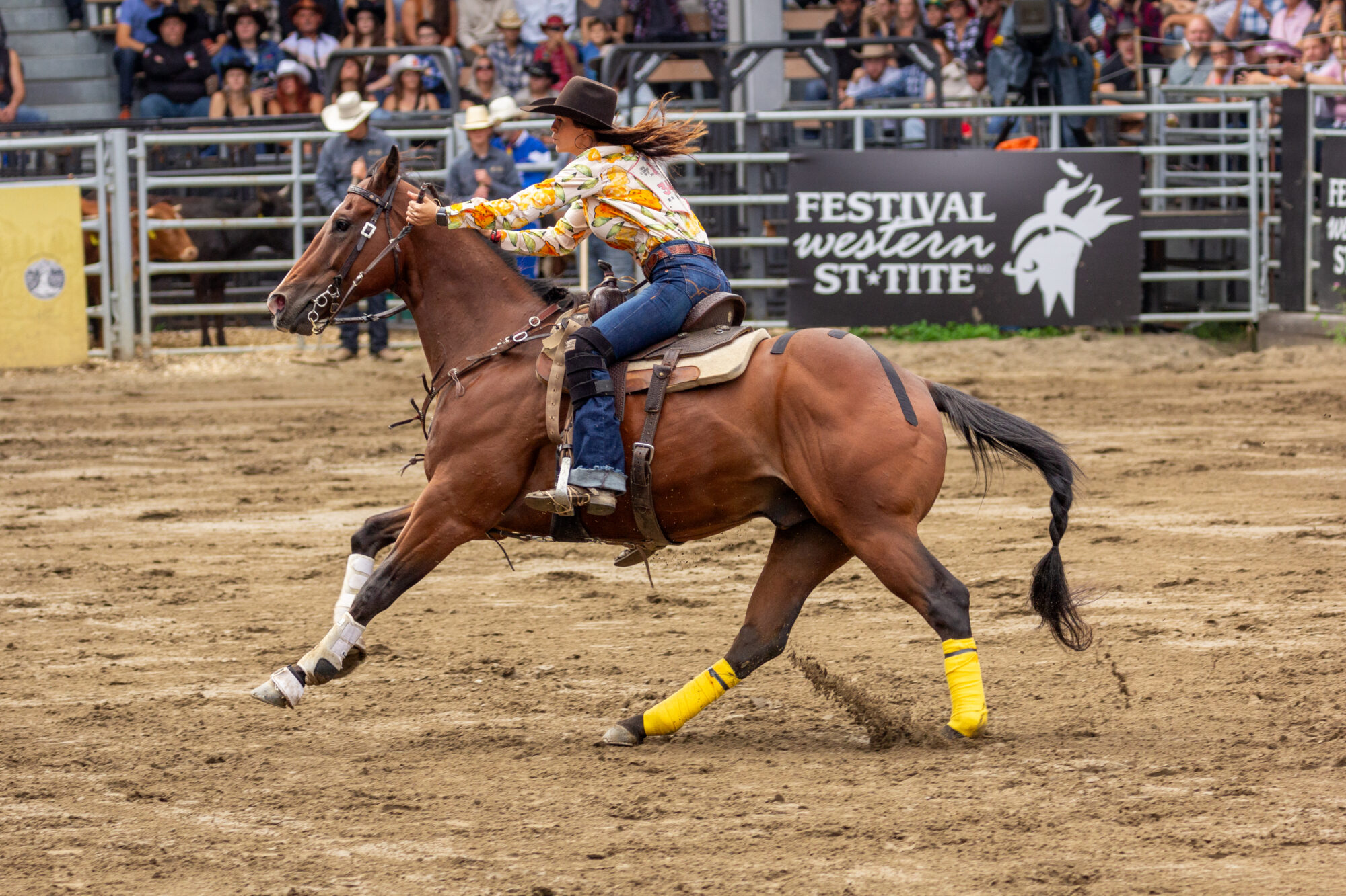 Rodéos au Festival Western de St-Tite